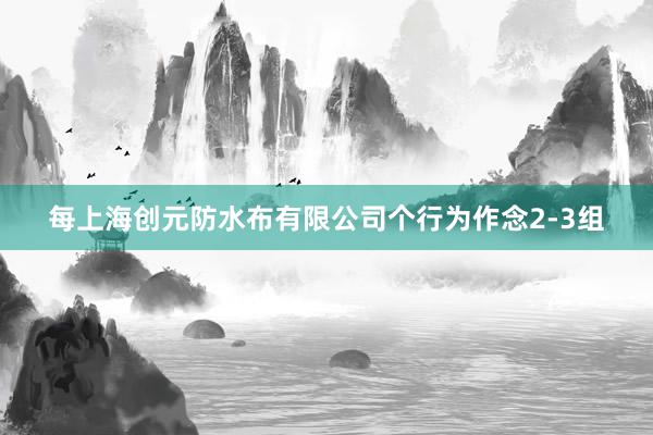 每上海创元防水布有限公司个行为作念2-3组